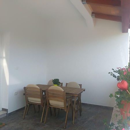 Apartment Ivana Novigrad  Zewnętrze zdjęcie