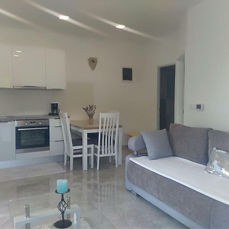 Apartment Ivana Novigrad  Zewnętrze zdjęcie