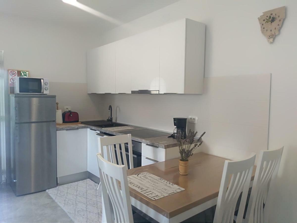 Apartment Ivana Novigrad  Zewnętrze zdjęcie