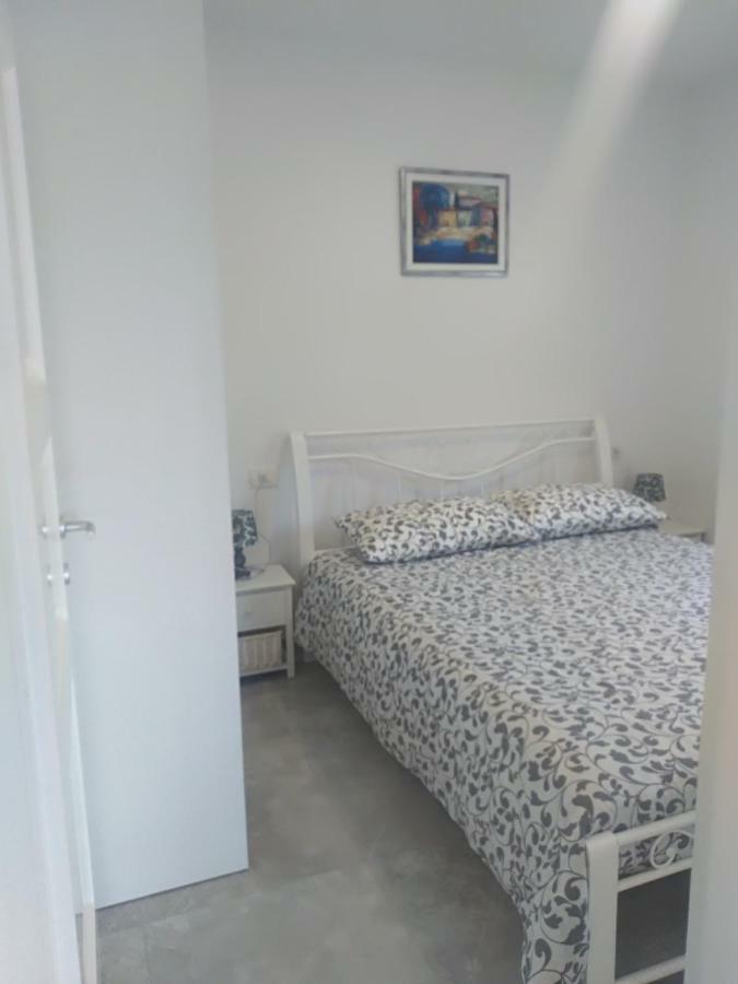 Apartment Ivana Novigrad  Zewnętrze zdjęcie