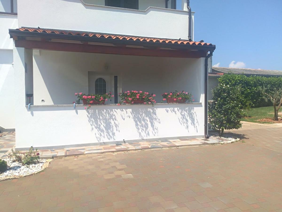 Apartment Ivana Novigrad  Zewnętrze zdjęcie