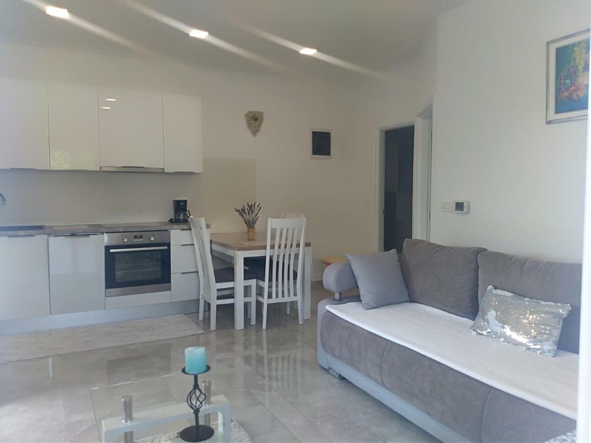 Apartment Ivana Novigrad  Zewnętrze zdjęcie