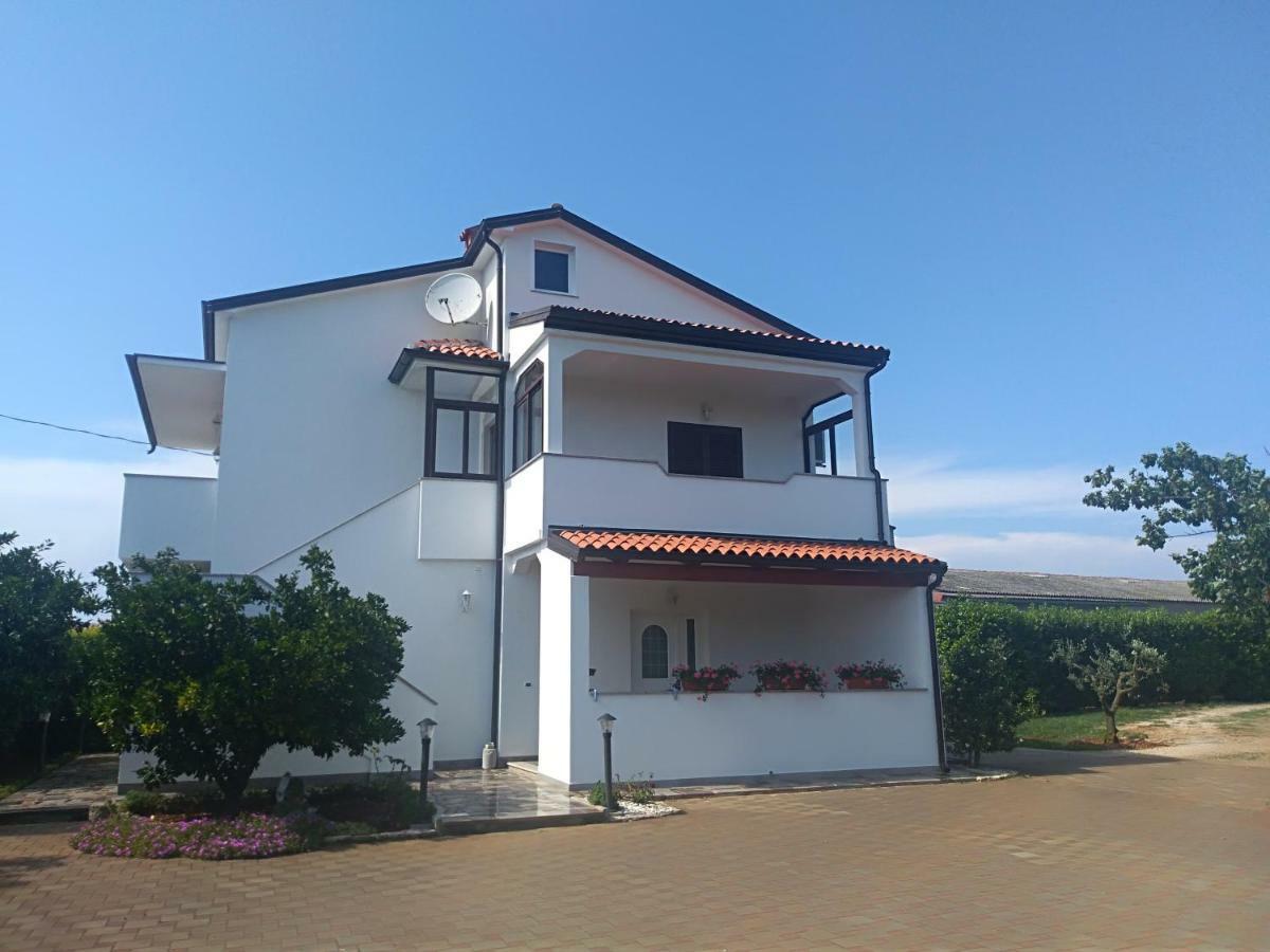 Apartment Ivana Novigrad  Zewnętrze zdjęcie