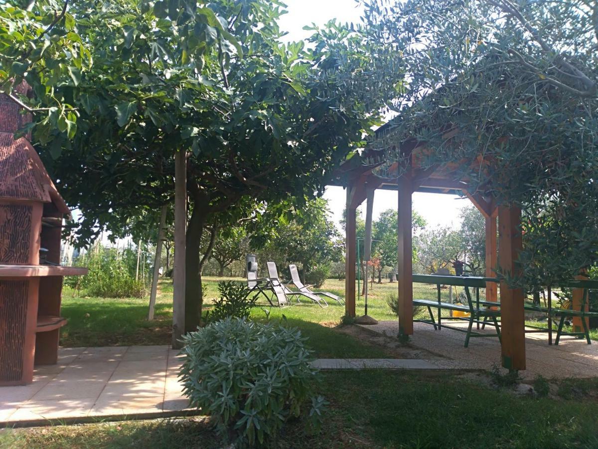 Apartment Ivana Novigrad  Zewnętrze zdjęcie